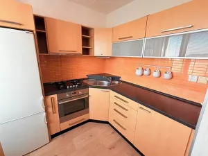 Pronájem bytu 1+1, Židlochovice, sídl. Družba, 34 m2