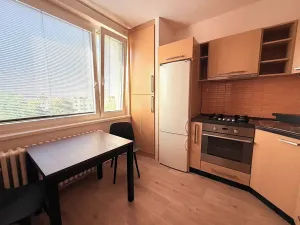 Pronájem bytu 1+1, Židlochovice, sídl. Družba, 34 m2