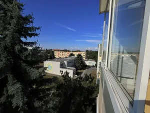 Pronájem bytu 1+1, Židlochovice, sídl. Družba, 34 m2