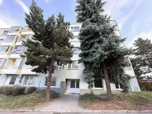 Pronájem bytu 1+1, Židlochovice, sídl. Družba, 34 m2