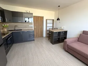 Pronájem bytu 2+kk, Brno, Letní, 56 m2