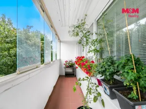 Prodej bytu 3+kk, Praha - Lhotka, Jílovská, 62 m2