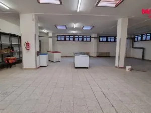 Pronájem obchodního prostoru, Orlová - Lutyně, F. S. Tůmy, 739 m2