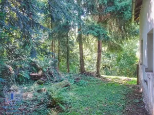 Prodej rodinného domu, Potěhy, 291 m2