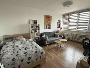 Pronájem bytu 1+1, Frýdek-Místek, Javorová, 35 m2
