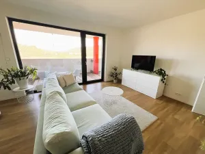 Prodej bytu 2+kk, Zlín, Boněcký rybník, 56 m2