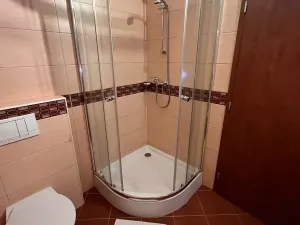 Pronájem pokoje, Rádlo, 22 m2