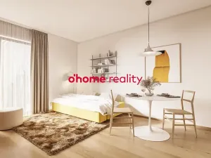 Prodej bytu 1+kk, Olomouc, Okružní, 30 m2