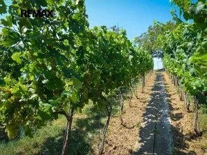 Prodej zahrady, Tvrdonice, 1072 m2