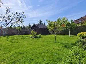 Prodej rodinného domu, Nový Vestec, U Tří Cest, 224 m2