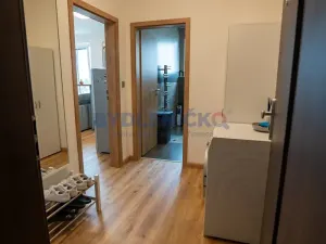 Prodej bytu 1+kk, České Budějovice, České Vrbné, 45 m2