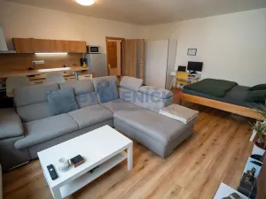Prodej bytu 1+kk, České Budějovice, České Vrbné, 45 m2