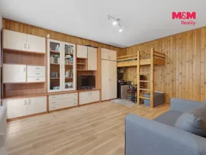 Prodej bytu 1+kk, Kladno - Kročehlavy, Litevská, 27 m2