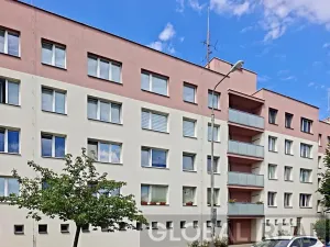 Pronájem bytu 2+kk, Jihlava, Za Prachárnou, 49 m2