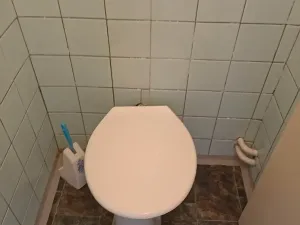 Pronájem rodinného domu, Bratkovice, 100 m2