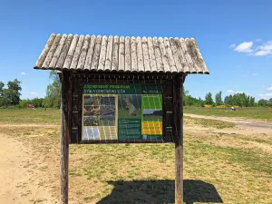 Prodej bytu 2+1, Mladá Boleslav, Na Radouči, 55 m2