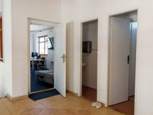 Prodej obchodního prostoru, Sadová, 262 m2