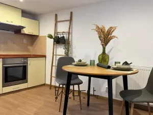 Pronájem bytu 1+1, Ostrava, Korunní, 53 m2