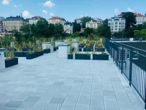 Pronájem bytu 2+kk, Praha - Vinohrady, Perucká, 37 m2
