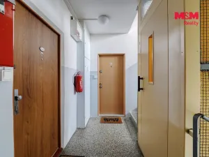 Prodej bytu 2+1, Plzeň - Severní Předměstí, Elišky Krásnohorské, 62 m2