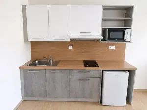 Pronájem bytu 1+kk, Syrovice, 28 m2