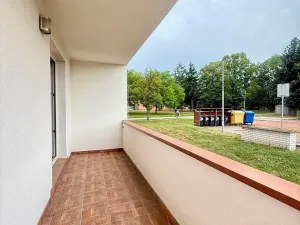 Prodej bytu 1+kk, Městec Králové, Malátova, 18 m2
