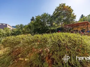 Prodej bytu 1+1, Praha - Podolí, Pod Pekařkou, 42 m2