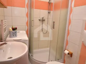 Pronájem bytu 1+kk, České Budějovice - České Budějovice 6, Jeronýmova, 38 m2