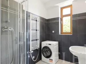 Pronájem bytu 1+kk, Praha - Žižkov, Dalimilova, 50 m2