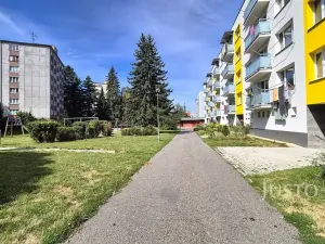 Pronájem bytu 1+kk, Písek, 17. listopadu, 19 m2
