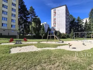 Pronájem bytu 1+kk, Písek, 17. listopadu, 19 m2