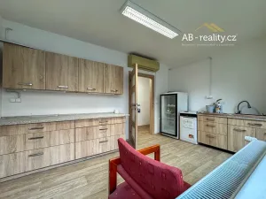Pronájem kanceláře, Teplice, Smetanova, 144 m2