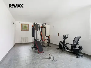 Prodej rodinného domu, Zruč-Senec, Na Slovanech, 570 m2