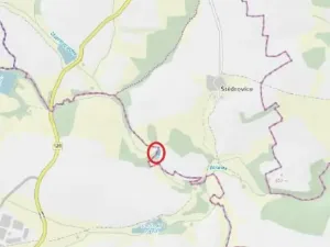 Prodej lesa, Čáslavsko, 1259 m2