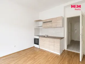 Prodej bytu 1+kk, Praha - Michle, Hanusova, 33 m2