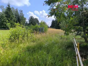 Prodej louky, Nejdek - Bernov, 1479 m2