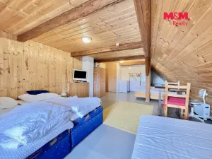 Prodej chalupy, Staré Město - Stříbrnice, 330 m2