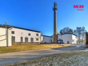 Prodej výrobních prostor, Miletín, Lhotova, 22000 m2