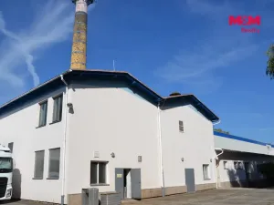Prodej výrobních prostor, Miletín, Lhotova, 22000 m2