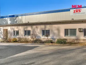 Prodej výrobních prostor, Miletín, Lhotova, 22000 m2