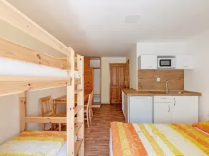 Prodej ubytování, Bartošovice v Orlických horách, 500 m2