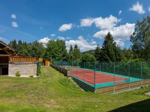 Prodej ubytování, Bartošovice v Orlických horách, 500 m2