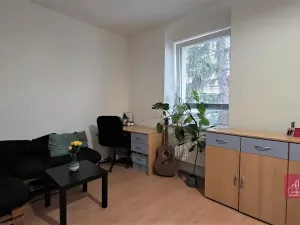 Prodej bytu 1+1, Brno, Cejl, 33 m2