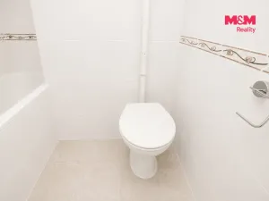 Prodej bytu 2+1, Praha - Michle, Hanusova, 42 m2