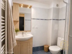 Pronájem bytu 1+kk, Dobšice, V Zahradách, 28 m2