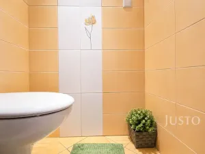 Prodej bytu 3+1, Písek, třída Přátelství, 61 m2