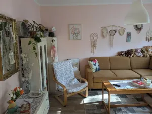Pronájem bytu 1+1, Opava, Hany Kvapilové, 38 m2