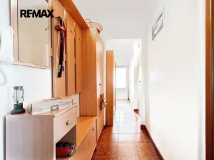 Prodej bytu 3+1, Veselí nad Moravou, Chaloupky, 73 m2