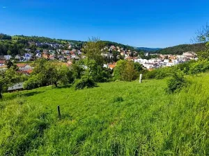 Prodej pozemku pro bydlení, Luhačovice, 1832 m2