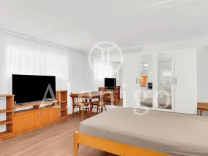 Prodej bytu 1+kk, Praha - Motol, Kudrnova, 25 m2